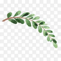 ��ɫ��֦�ʻ�廭-������