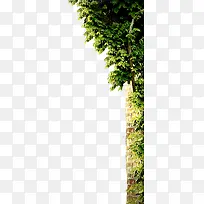 ����-������