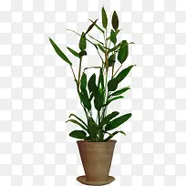 ������-������