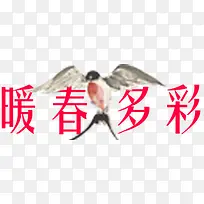 ů�����-������