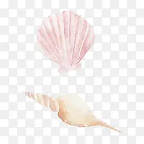 手绘贝壳-空若网 手绘贝壳-空若网