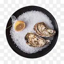 闭口的生蚝素材-空若网 闭口的生蚝素材-空若网