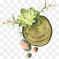 水彩木头-空若网 水彩木头-空若网