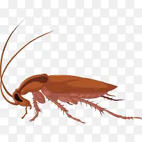 С����-������