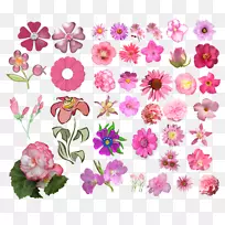 切花设计粉红-粉红色-空若网 切花设计粉红-粉红色-空若网