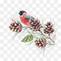 站在树枝上的红色小鸟-空若网 站在树枝上的红色小鸟-空若网