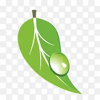 青草的水珠-空若网 青草的水珠-空若网