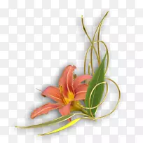 插花艺术-复古-空若网 插花艺术-复古-空若网