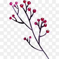 ˮ��ֲ��-������