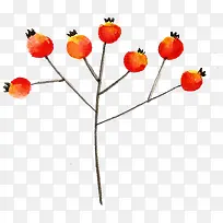 ˮ��ֲ��-������