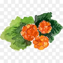 手绘水彩浆果-空若网 手绘水彩浆果-空若网