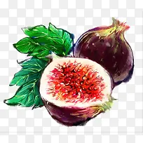 水彩无花果-空若网 水彩无花果-空若网