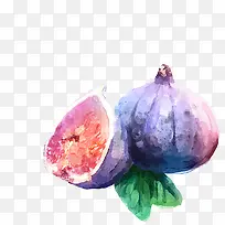 水彩无花果-空若网 水彩无花果-空若网