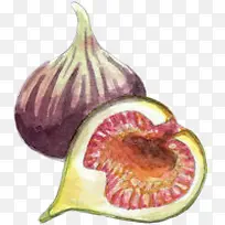 ÊÖ»æË®²ÊÎÞ»¨¹û-¿ÕÈôÍø ÊÖ»æË®²ÊÎÞ»¨¹û-¿ÕÈôÍø