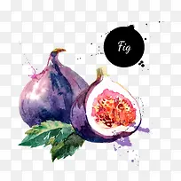 ��ͨˮ��ˮ���޻���-������