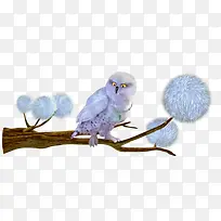 树枝上休息的猫头鹰-空若网 树枝上休息的猫头鹰-空若网