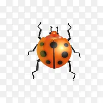 免抠素材昆虫图片-空若网 免抠素材昆虫图片-空若网