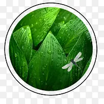 ��ͨ�ֻ���ɫ����ͼ��-������