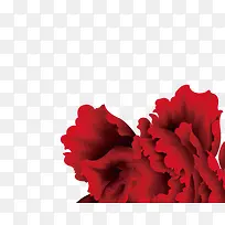 �����ʻ�-������