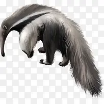 ʸ����ʳ����-������