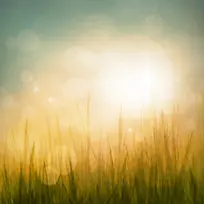 �λ�����ݵر���-������