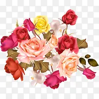 矢量玫瑰花-空若网 矢量玫瑰花-空若网