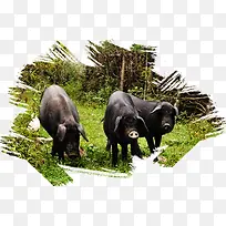 Ұ�����ʱ߿�-������