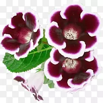 花电脑图标环球剪贴画.紫罗兰-空若网 花电脑图标环球剪贴画.紫罗兰-空若网