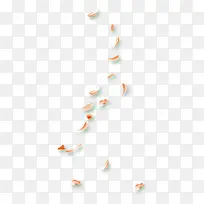 橙色清新花瓣漂浮素材-空若网 橙色清新花瓣漂浮素材-空若网