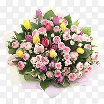 һ�ذ�ɫõ�廨-������