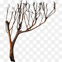 �����ز�-������