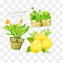 手绘盆栽-空若网 手绘盆栽-空若网