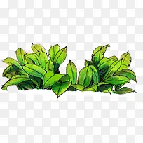 创意漫画高清手绘绿色树叶-空若网 创意漫画高清手绘绿色树叶-空若网