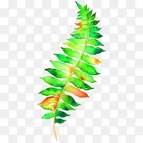 װ��Ҷ�Ӳ廭-������