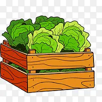 蔬菜-空若网 蔬菜-空若网