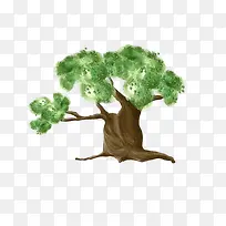 绿色粗壮老树-空若网 绿色粗壮老树-空若网