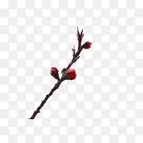 花枝-空若网 花枝-空若网