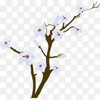 ʸ����ɫ��������֦-������