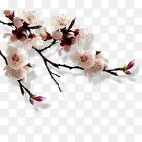 一束花儿-空若网 一束花儿-空若网