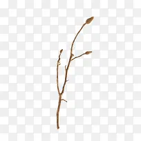 花苞-空若网 花苞-空若网