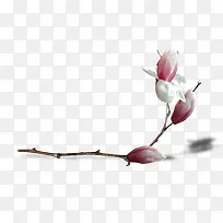 花苞-空若网 花苞-空若网