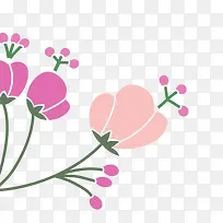 花朵-空若网 花朵-空若网