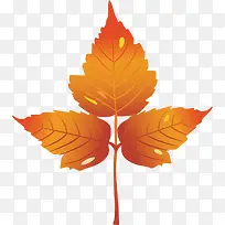 秋天的叶子矢量免抠效果素材-空若网 秋天的叶子矢量免抠效果素材-空若网