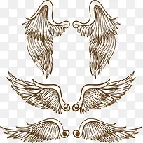 手绘飞翔的翅膀-空若网 手绘飞翔的翅膀-空若网