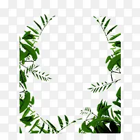 植物边框-空若网 植物边框-空若网