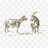 �ֻ�ɽ�������-������