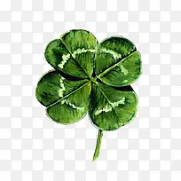 四叶草-空若网 四叶草-空若网