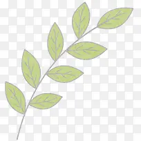 Ö¦Ò¶-¿ÕÈôÍø Ö¦Ò¶-¿ÕÈôÍø