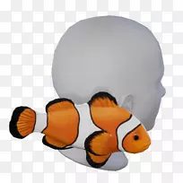 动物喙水坑-空若网 动物喙水坑-空若网