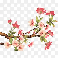 ¿¨Í¨Ê÷Ö¦»¨¶ä×°ÊÎ-¿ÕÈôÍø ¿¨Í¨Ê÷Ö¦»¨¶ä×°ÊÎ-¿ÕÈôÍø